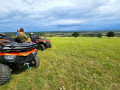 Black Radovan's - Quad Tours in Istria Žužići