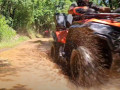 Black Radovan's - Quad Tours in Istria Žužići